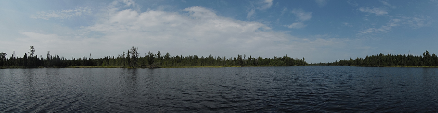 BWCA PMA